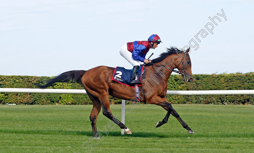 Luxembourg-0001 
 LUXEMBOURG (Seamie Heffernan)
Leopardstown 9 Sep 2023 - Pic Steven Cargill / Racingfotos.com