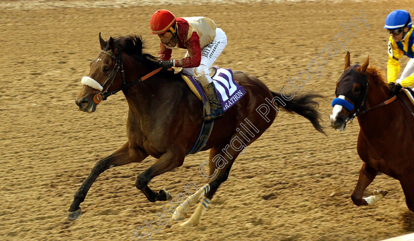 Rocketry-0001 
 ROCKETRY (Joel Rosario) wins The Marathon Stakes
Churchill Downs 2 Nov 2018 - Pic Steven Cargill / Racingfotos.com