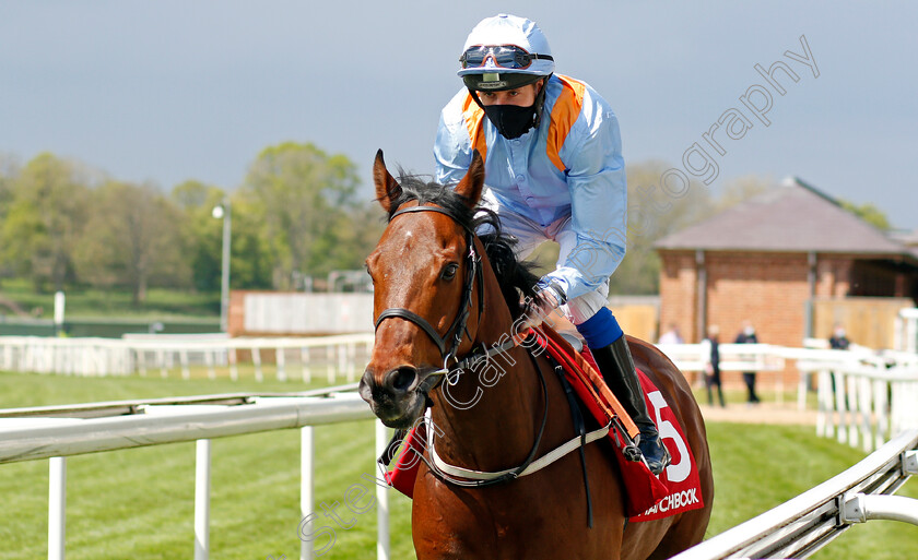 Copper-Knight-0001 
 COPPER KNIGHT (James Sullivan) winner of The Matchbook Betting Exchange Handicap
York 13 May 2021 - Pic Steven Cargill / Racingfotos.com