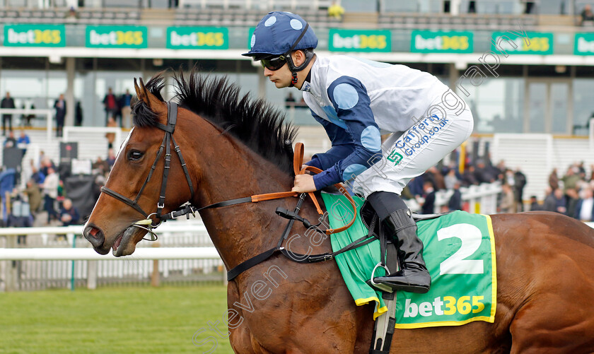 Awtaad-Prince-0002 
 AWTAAD PRINCE (Stefano Cherchi)
Newmarket 18 Apr 2023 - Pic Steven Cargill / Racingfotos.com