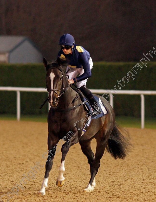 Corvair-0001 
 CORVAIR (Jack Mitchell) winner of The Ladbrokes Where The Nation Plays Handicap
Wolverhampton 20 Jan 2020 - Pic Steven Cargill / Racingfotos.com