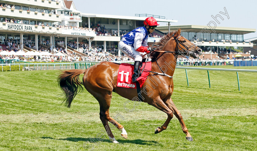 Just-Bring-It-0001 
 JUST BRING IT (Marco Ghiani)
Haydock 27 May 2023 - Pic Steven Cargill / Racingfotos.com