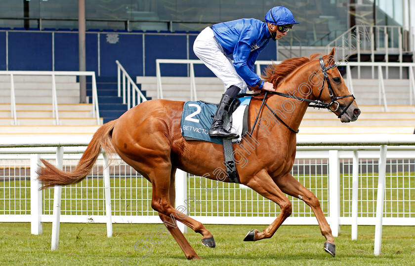 Creative-Force-0002 
 CREATIVE FORCE (James Doyle) winner of The BetVictor Carnarvon Stakes
Newbury 15 May 2021 - Pic Steven Cargill / Racingfotos.com