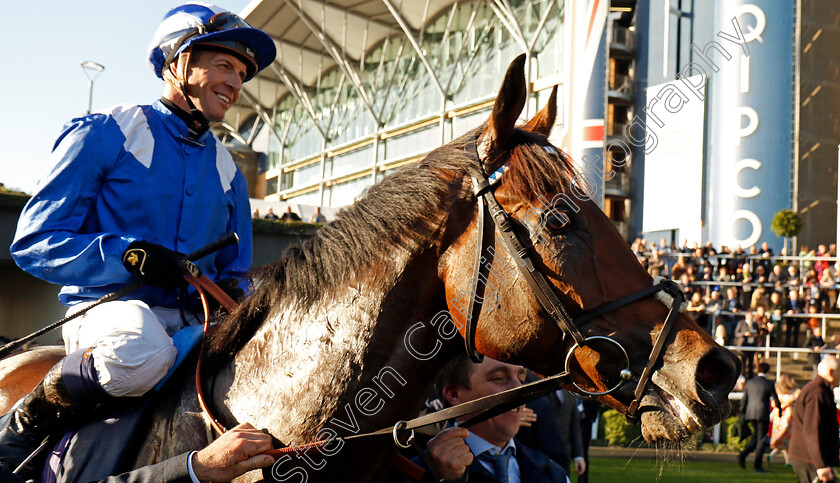 Anmaat-0018 
 ANMAAT (Jim Crowley) after The Qipco Champion Stakes
Ascot 19 Oct 2024 - Pic Steven Cargill / Racingfotos.com