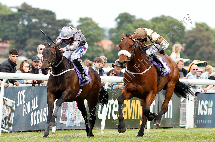 Gabrial-The-Tiger-0001 
 GABRIAL THE TIGER (Paul Hanagan) beats ABUSHAMAH (right) in The Very Happy Retirement Bill Gray Handicap Div1
Beverley 29 May 2019 - Pic Steven Cargill / Racingfotos.com