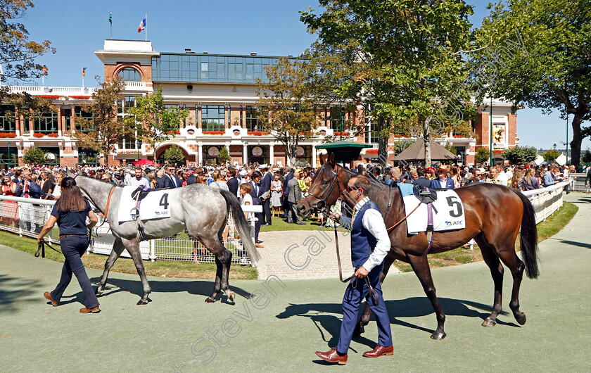 Minzaal-0001 
 MINZAAL 
Deauville 7 Aug 2022 - Pic Steven Cargill / Racingfotos.com