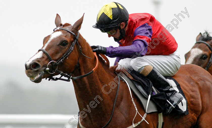 Rochester-House-0004 
 ROCHESTER HOUSE (Joe Fanning) wins The ABF Soldiers' Charity Gordon Carter Handicap
Ascot 2 Oct 2020 - Pic Steven Cargill / Racingfotos.com