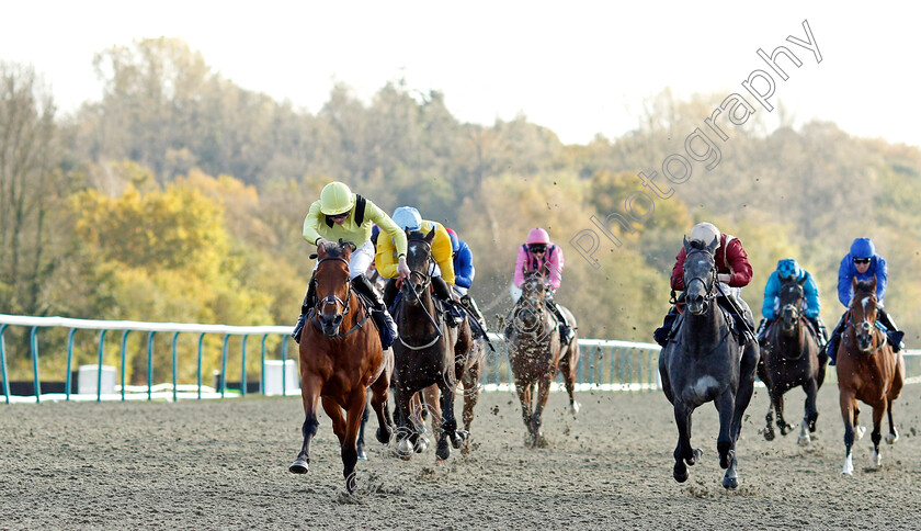 Maamora-0004 
 MAAMORA (James Doyle) wins The Coral EBF Fleur De Lys Fillies Stakes
Lingfield 28 Oct 2021 - Pic Steven Cargill / Racingfotos.com