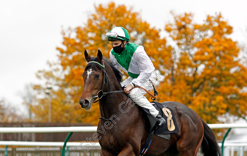 The-Attorney-0001 
 THE ATTORNEY (William Buick)
Newmarket 21 Oct 2020 - Pic Steven Cargill / Racingfotos.com