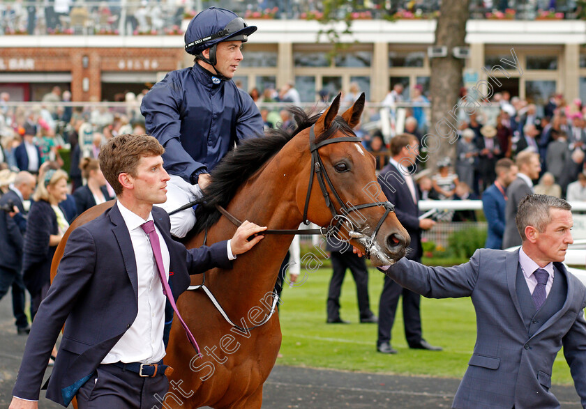 Divinely-0002 
 DIVINELY (Wayne Lordan)
York 19 Aug 2021 - Pic Steven Cargill / Racingfotos.com