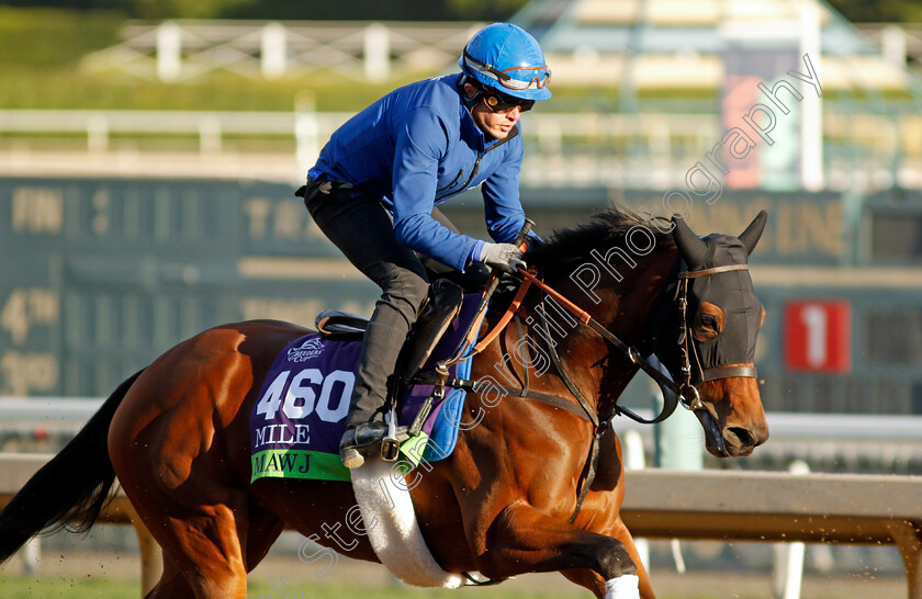 Mawj-0004 
 MAWJ training for The Breeders' Cup Mile
Santa Anita USA, 30 October 2023 - Pic Steven Cargill / Racingfotos.com