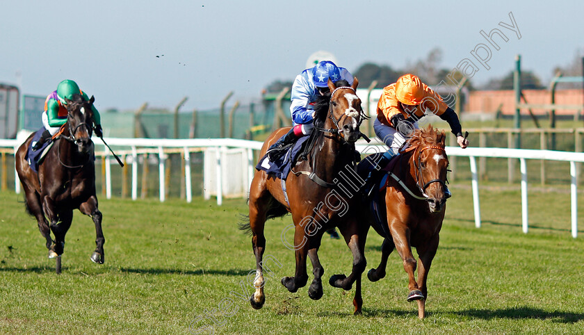 Castana-Dia-0001 
 CASTANA DIA (right, William Buick) beats AKKERINGA (left) in The Download The Quinnbet App Median Auction Maiden Stakes
Yarmouth 19 May 2021 - Pic Steven Cargill / Racingfotos.com