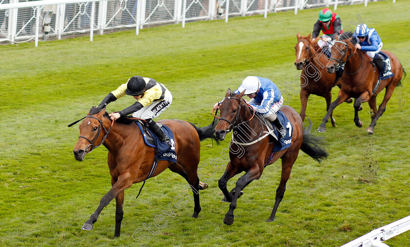 Future-Investment-0003 
 FUTURE INVESTMENT (Harry Bentley) beats BO SAMRAAN (centre) in The Sportpesa Maiden Stakes
Chester 8 May 2019 - Pic Steven Cargill / Racingfotos.com