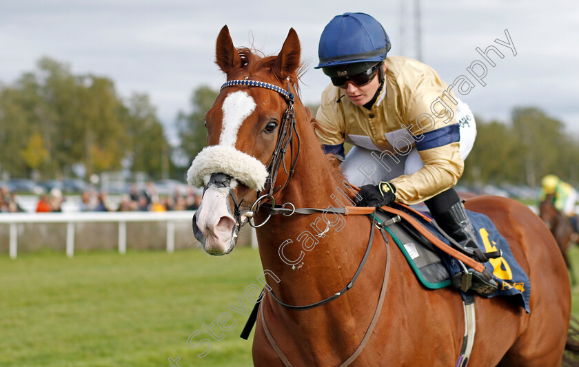 Manitou-0003 
 MANITOU (Hollie Doyle) wins The Appel Au Maitre Svealandlopning
Bro Park, Sweden 18 Sep 2022 - Pic Steven Cargill / Racingfotos.com