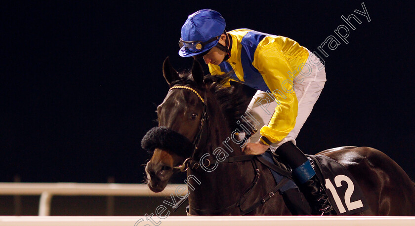 Reehaam-0001 
 REEHAAM (Daniel Muscutt)
Chelmsford 19 Nov 2019 - Pic Steven Cargill / Racingfotos.com