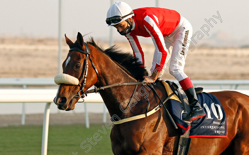 Simsir-0004 
 SIMSIR (Lee Newman) before winning The Bahrain International Trophy
Rashid Equestrian & Horseracing Club, Bahrain, 20 Nov 2020 - Pic Steven Cargill / Racingfotos.com