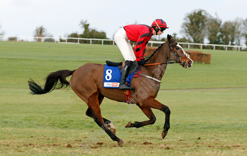 On-Lovers-Walk-0001 
 ON LOVERS WALK (L P Shanahan)
Punchestown 12 Jan 2025 - Pic Steven Cargill / Racingfotos.com