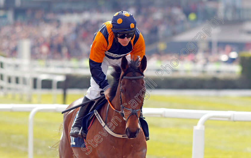 Meet-And-Greet-0002 
 MEET AND GREET (Phillip Enright) 
Aintree 15 Apr 2023 - Pic Steven Cargill / Racingfotos.com