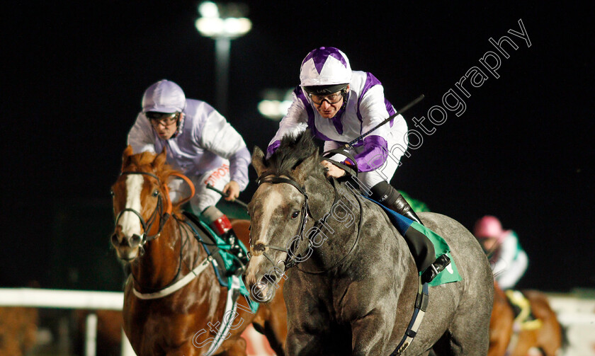 Glencadam-Master-0007 
 GLENCADAM MASTER (Robert Havlin) wins The 32Red On The App Store Novice Stakes Div1 Kempton 20 Dec 2017 - Pic Steven Cargill / Racingfotos.com