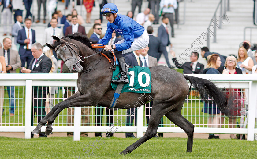 Summer-Romance-0002 
 SUMMER ROMANCE (James Doyle)
Ascot 27 Jul 2019 - Pic Steven Cargill / Racingfotos.com