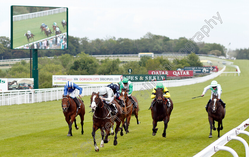 Lake-Volta-0001 
 LAKE VOLTA (Joe Fanning) wins The Thames Materials Bulk Excavations Handicap
Goodwood 24 May 2019 - Pic Steven Cargill / Racingfotos.com