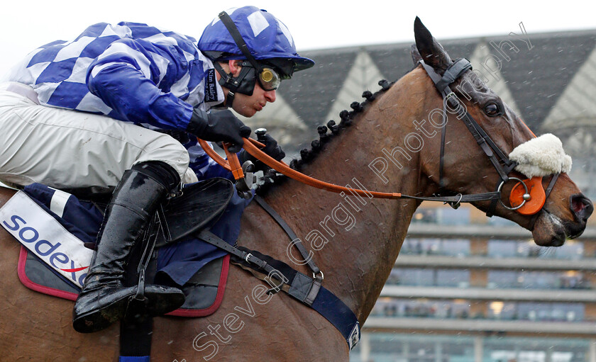 Does-He-Know-0005 
 DOES HE KNOW (David Bass) wins The Bateaux London Reynoldstown Novices Chase
Ascot 19 Feb 2022 - Pic Steven Cargill / Racingfotos.com