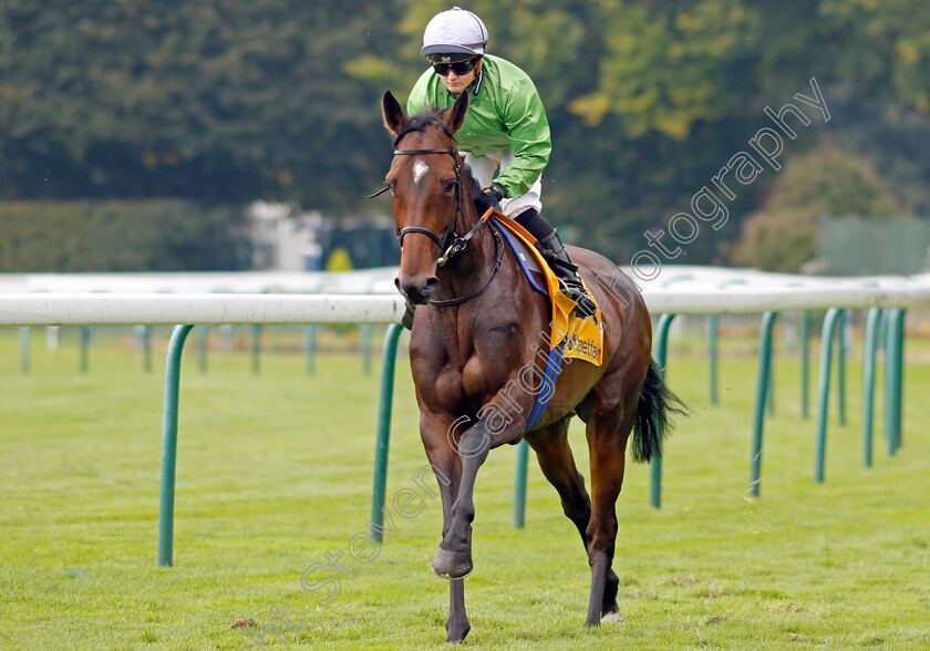 Waxing-Gibbous-0001 
 WAXING GIBBOUS (Hollie Doyle)
Haydock 7 Sep 2024 - Pic Steven Cargill / Racingfotos.com