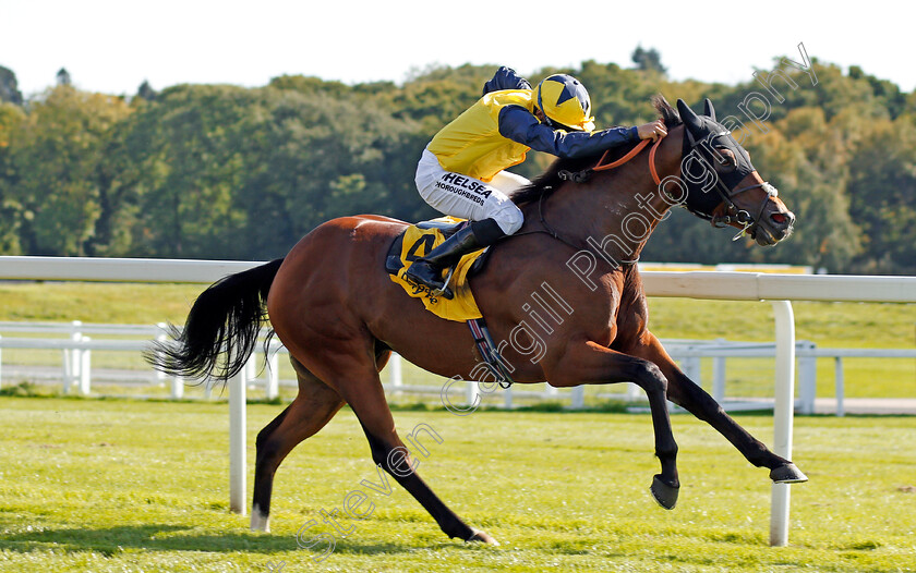 Desert-Encounter-0004 
 DESERT ENOCUNTER (Sean Levey) wins The Dubai Duty Free Legacy Cup Stakes Newbury 23 Sep 2017 - Pic Steven Cargill / Racingfotos.com