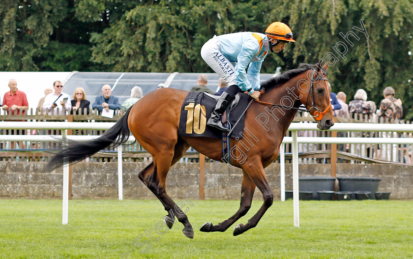 Ziggy s-Phoenix-0001 
 ZIGGY'S PHOENIX (Pat Dobbs)
Newmarket 1 Jul 2023 - Pic Steven Cargill / Racingfotos.com