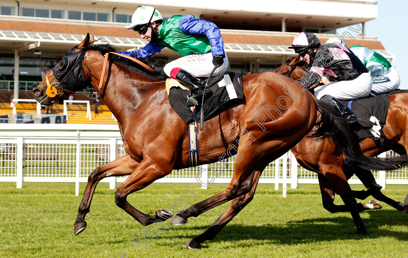 Jimmy-Sparks-0005 
 JIMMY SPARKS (Oisin Murphy) wins The Dubai Duty Free Nursery
Newbury 18 Sep 2020 - Pic Steven Cargill / Racingfotos.com