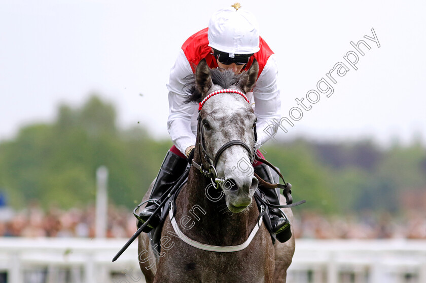 Great-State-0001 
 GREAT STATE (Oisin Murphy) wins The British EBF 40th Anniversary Westow Stakes
York 18 May 2023 - Pic Steven Cargill / Racingfotos.com