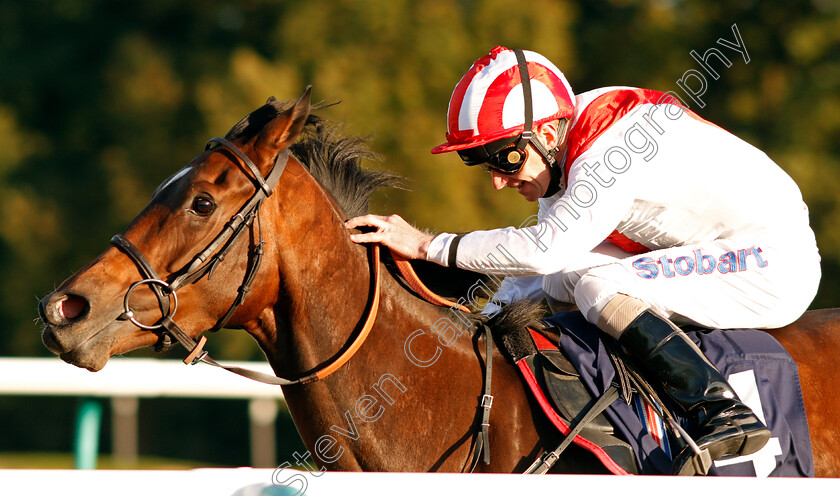 Dreaming-Time-0004 
 DREAMING TIME (Joe Fanning) wins The Racing Welfare 24 Hour Helpline 08006300443 Handicap Lingfield 5 Oct 2017 - Pic Steven Cargill / Racingfotos.com