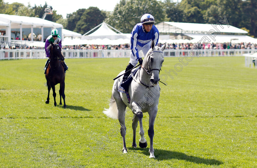 Art-Power-0001 
 ART POWER (David Allan)
Royal Ascot 22 Jun 2024 - Pic Steven Cargill / Racingfotos.com