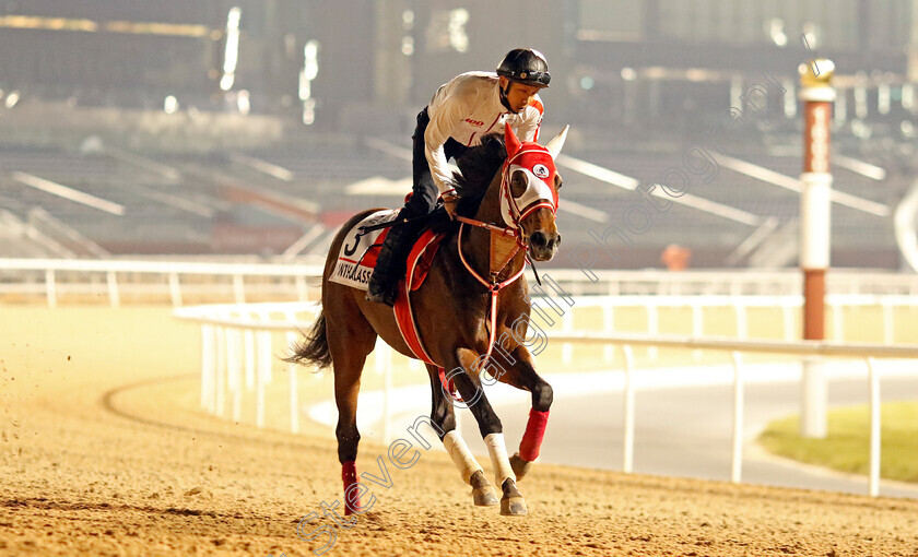 Panthalassa-0003 
 PANTHALASSA training for the Dubai World Cup
Meydan, Dubai, 21 Mar 2023 - Pic Steven Cargill / Racingfotos.com