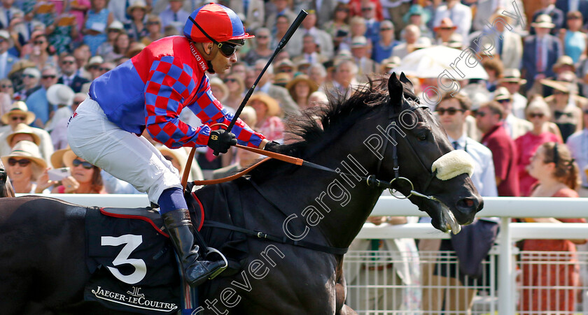 Big-Mojo-0003 
 BIG MOJO (Silvestre de Sousa) wins The Jaeger-Lecoultre Molecomb Stakes
Goodwood 31 Jul 2024 - Pic Steven Cargill / Racingfotos.com