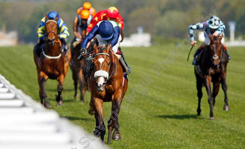 Coltrane-0001 
 COLTRANE (Oisin Murphy) wins The Longines Sagaro Stakes
Ascot 3 May 2023 - Pic Steven Cargill / Racingfotos.com