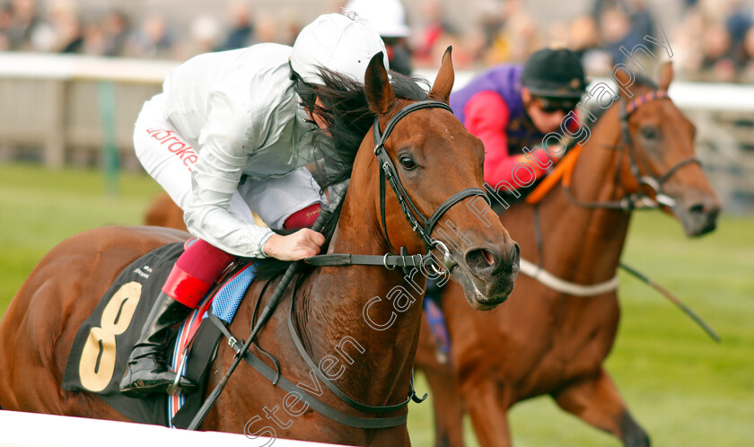 King-Leonidas-0008 
 KING LEONIDAS (Frankie Dettori) wins The Coates & Seely Blanc De Blancs Novice Stakes Div1
Newmarket 23 Oct 2019 - Pic Steven Cargill / Racingfotos.com