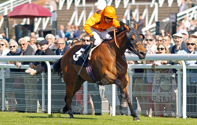 Angle-Land-0002 
 ANGLE LAND (Hayley Turner) wins The William Hill Handicap
Goodwood 26 May 2023 - Pic Steven Cargill / Racingfotos.com