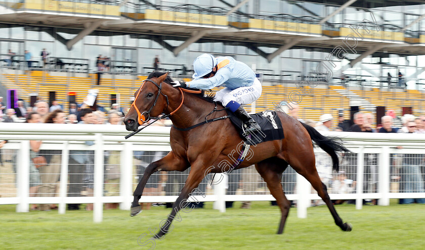 Sesame-Birah-0002 
 SESAME BIRAH (Silvestre De Sousa) wins The Mildmay Farm And Stud Novice Median Auction Stakes Div1
Newbury 6 Aug 2019 - Pic Steven Cargill / Racingfotos.com