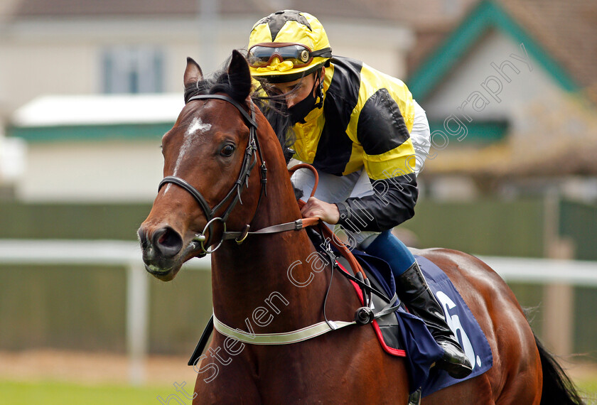 King-Of-Gold-0002 
 KING OF GOLD (William Buick)
Yarmouth 19 May 2021 - Pic Steven Cargill / Racingfotos.com