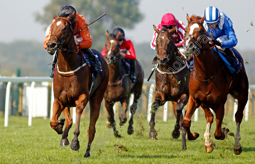 Kingmania-0003 
 KINGMANIA (Pat Cosgrave) beats AJRAD (right) in The Visit attheraces.com Nursery
Yarmouth 15 Sep 2020 - Pic Steven Cargill / Racingfotos.com