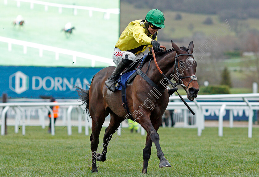 Boyhood-0002 
 BOYHOOD (Paddy Brennan) wins The BetBright Casino Handicap Hurdle Cheltenham 1 Jan 2018 - Pic Steven Cargill / Racingfotos.com