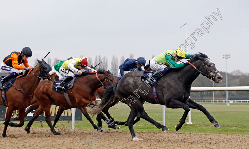 Ferrous-0002 
 FERROUS (David Probert) wins The BetUk Home Of The Acca Handicap
Wolverhampton 9 Mar 2024 - Pic Steven Cargill / Racingfotos.com