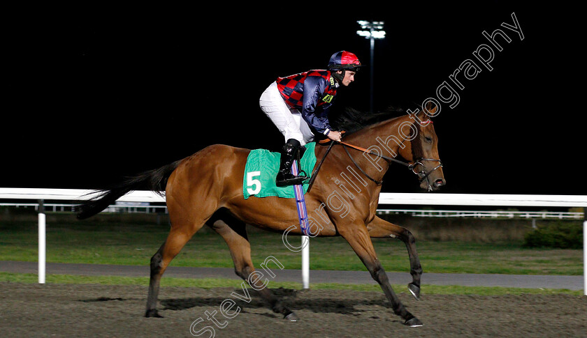 Dawn-Choir-0001 
 DAWN CHOIR (Adam McNamara)
Kempton 27 Sep 2018 - Pic Steven Cargill / Racingfotos.com