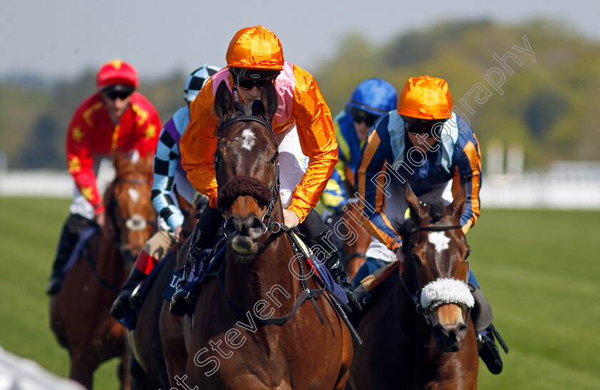 Rajinsky-0001 
 RAJINSKY (Harry Davies)
Ascot 3 May 2023 - Pic Steven Cargill / Racingfotos.com