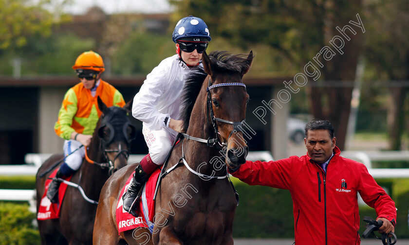 Laafi-0001 
 LAAFI (Cieren Fallon)
Kempton 6 Apr 2024 - Pic Steven Cargill / Racingfotos.com