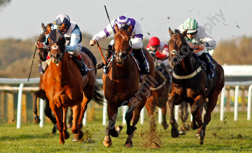 Siberian-Night-0004 
 SIBERIAN NIGHT (Tom Marquand) wins The Download The At The Races App Handicap
Yarmouth 20 Oct 2020 - Pic Steven Cargill / Racingfotos.com