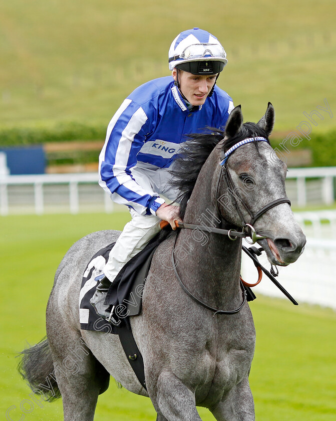 Alif-Power 
 ALIF POWER (David Egan)
Goodwood 20 May 2022 - Pic Steven Cargill / Racingfotos.com