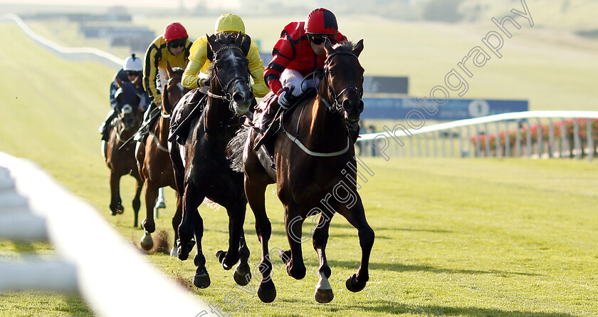 Glutnforpunishment-0001 
 GLUTNFORPUNISHMENT (Silvestre De Sousa) wins The Lettergold Handicap
Newmarket 28 Jun 2019 - Pic Steven Cargill / Racingfotos.com