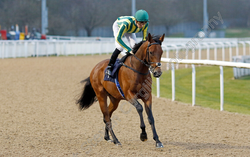 Neapolitan-0001 
 NEAPOLITAN (Harry Davies)
Wolverhampton 9 Mar 2024 - Pic Steven Cargill / Racingfotos.com